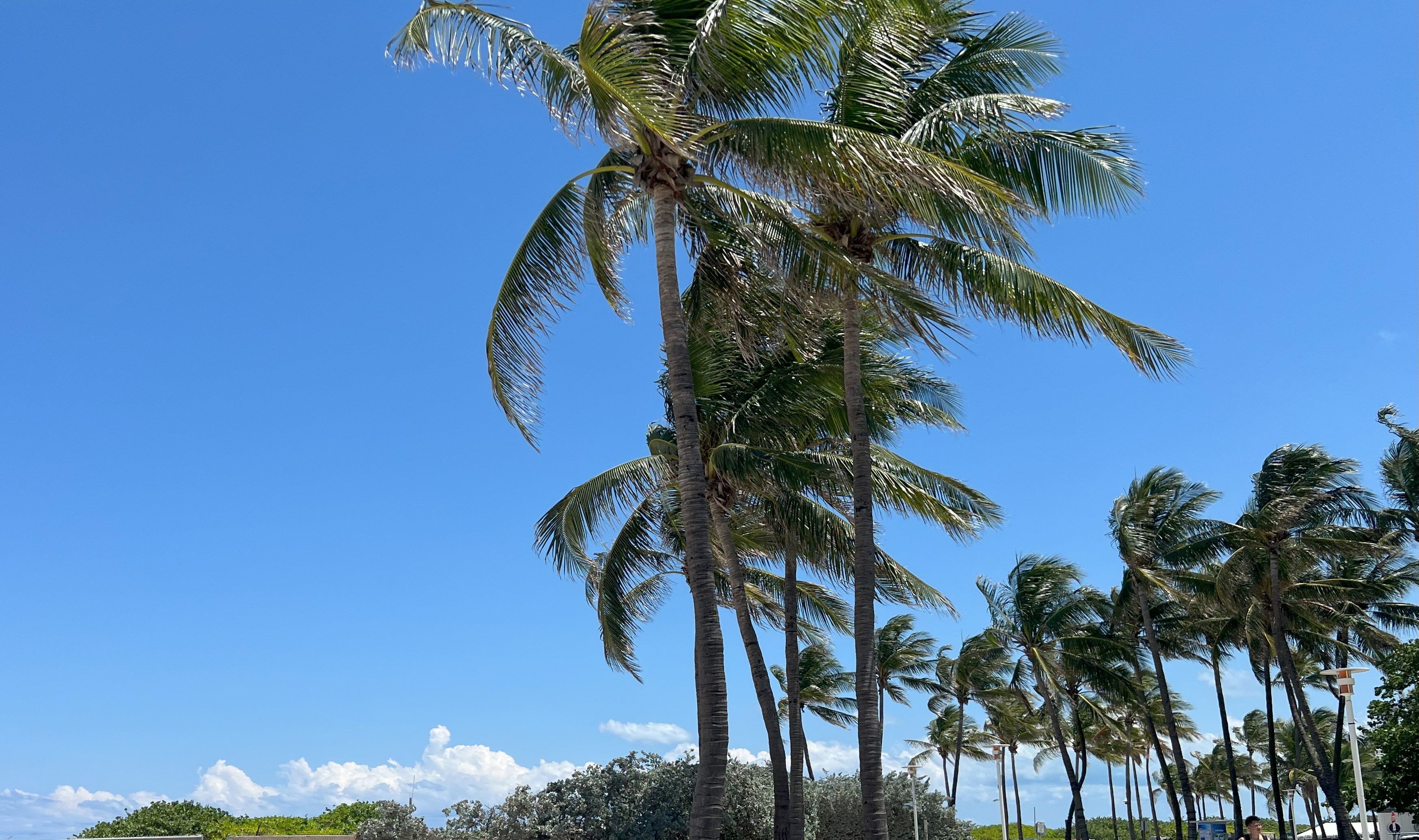 Preventive Care: The Key to Longevity