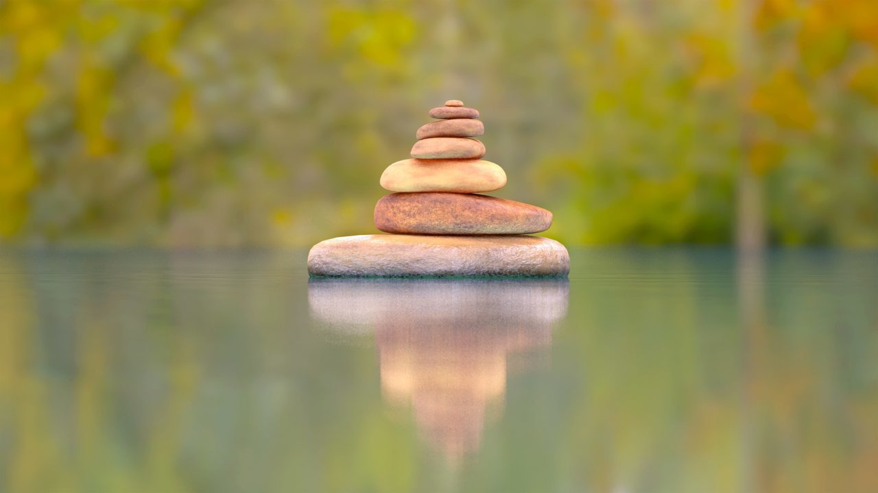 Mental Wellness and Digital Health Solutions